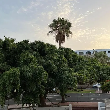 Cozy Apartment Costa Adeje (Tenerife)